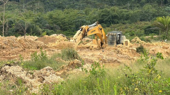 Neung South Forest Reserve - Galamsey (3)