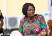 Let’s coordinate efforts to fight security challenges – Veep Opoku-Agyemang tells Foreign Affairs Ministers