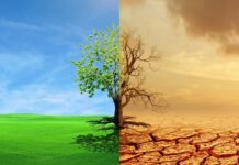Stakeholders call for integration of climate change into national curricula