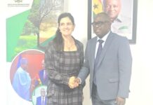 Brazilian Ambassador calls on Ghana’s Climate Minister ahead of COP30