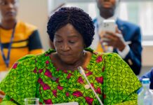 Partner us to develop our cocoa beans to create jobs – Veep Opoku-Agyemang tells EU