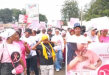 Unverified herbal remedies hindering Ghana’s fight against breast cancer – Midwifery Officer