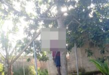 Shama: Man attacks wife with machete after divorce threat at Oheamadwen, commits suicide