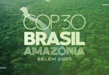 COP30 in the heart of the Amazon: The world’s last great climate test