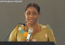 GNPC to drill two exploration wells in Voltaian basin by third quarter of 2026 – Petroleum Commission CEO