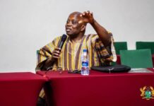 Special Audit: If a minister authorised payment for a claim that didn’t exist, hold them to account – Domelevo