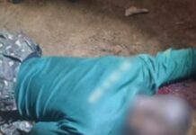 Immigration officer killed, another wounded in attack near Nalerigu
