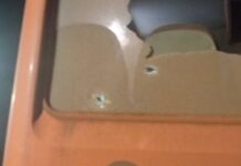Nakpanduri: Assistant District Planning Officer shot and killed by armed robbers
