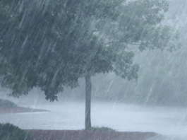 GMet warns of rainstorms, flooding risk in Accra, Tema, Kasoa, Koforidua, Nkawkaw, Aburi and Ho