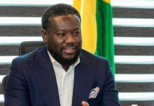 Inside BOSTenergies Quiet Revolution: Afetsi Awoonor at the helm