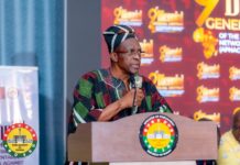 Parliament did not follow its own rules on anti LGBTQ bill — Speaker Bagbin