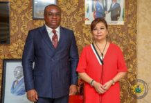 Deputy Defence Minister Brogya Genfi confers with Mexican Ambassador to strengthen bilateral ties