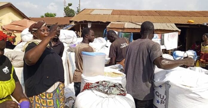 Food Glut - Maize
