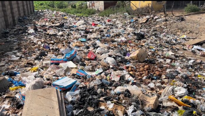 Rubish refuse garbage