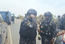 IGP deploys police team to Tempane to search for killers of Immigration Officer