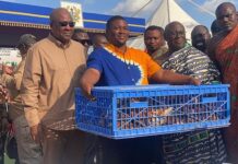 Ghana produces merely 4.6% of poultry needs – Agric Minister