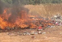 Nalerigu circuit court orders destruction of confiscated Tramadol; penalties imposed on the convicted