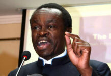 Put African finance ministers in a room for 1 week to read Nkrumah’s books – Prof Lumumba on how to solve Africa’s problems