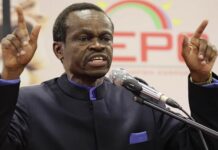 Africa does not control the agenda in the mining sector – Prof PLO Lumumba