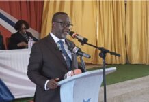 Use AI, but know that it can cause a lot of harm – CJ Baffoe-Bonnie advises youth