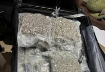 NACOC busts major drug trafficking attempt at KIA; arrests 2 British