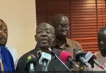 NPP rejects constitutional review process, says govt rewriting 1992 Constitution