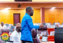 Don’t vote for a candidate the NDC is campaigning for – Annoh-Dompreh to NPP delegates