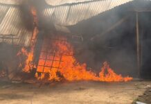 NAIMOS heeds Gideon Boako’s call; cracks down on galamseyers in Tano North