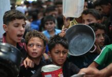The Plate is a Right: Why access to food is not a privilege
