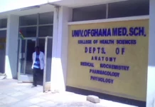 We haven’t discovered any cassava compound that cures diabetes – UGMS