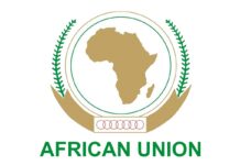 These are challenging times for the African Union – Prof Mawuko-Yevugah on Xenophobic attacks
