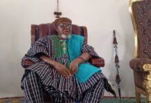 Paramount Chief of Talensi Traditional Area sets up vigilante groups to curb incidence of armed robbery