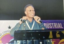 VALCO is one of Ghana’s most prized assets; don’t sell it – ICU