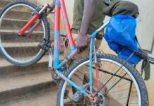 Bicycling could cut emissions and pollution in Global South with right policies – Study finds