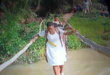 Eastern Region: Collapsed bridge disrupts social and economic activities at Torgodo