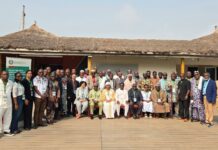 ECOWAS approves guidelines for integration of traditional medicine in health systems