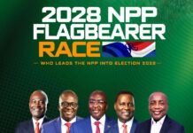 NPP flagbearer election: Provisional Results