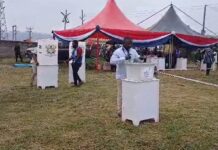 Polls open in NPP flagbearer primary
