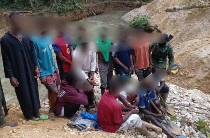 aowin forestry arrest 3