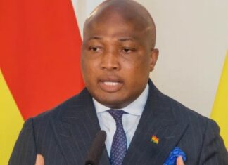 Ablakwa urges South Africa to ‘do better’ as xenophobic attacks tarnish Africa’s image