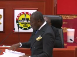 Gold for Reserve is a policy of national self-sabotage – Minority Leader