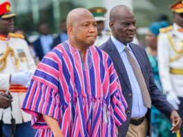 African Foreign Ministers clamour for Ghana’s Fugu – Ablakwa reveals
