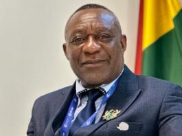 Henry Kokofu touts experience in bid for NPP General Secretary