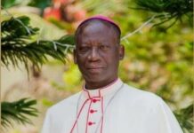 Catholic Bishops call for urgent action to rescue Ghana’s cocoa sector