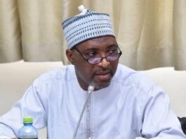 No law in Ghana permits private security companies to carry guns – Interior Minister