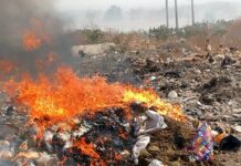 Narcotics Control Commission destroys GH¢2.5 million worth of drugs in Northern Region
