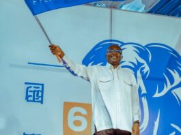 NPP makes flagbearer party leader when in opposition, president leader when in government