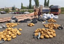 Police arrest 2 for concealing 527 parcels of substance suspected to Indian Hemp in a truck