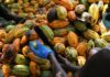 Concerned Farmers Association of Ghana demands urgent passage of Cocoa Farmers Bill