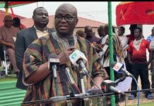Agric Minister launches locally fabricated post-harvest equipment